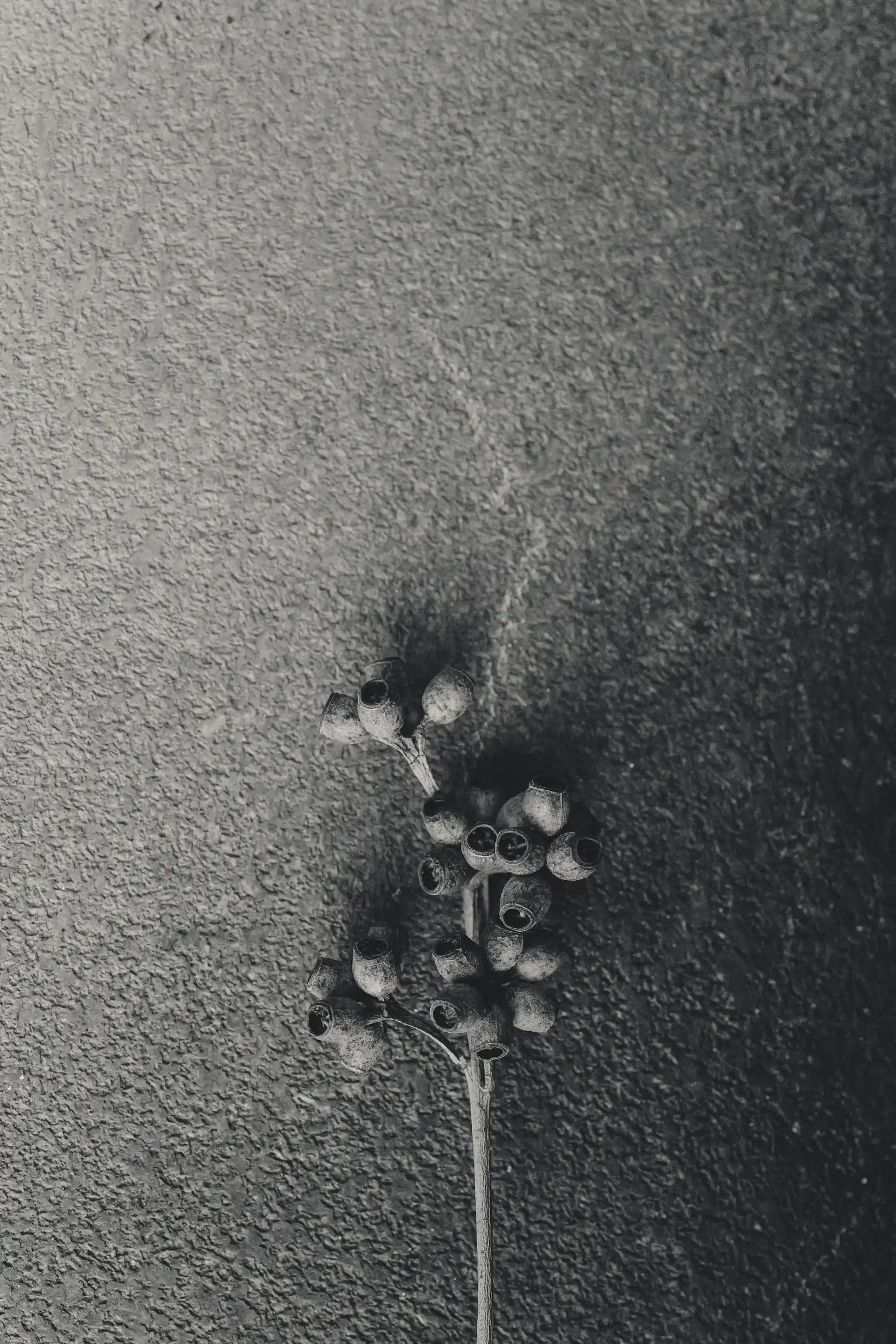 Detail ošetření — Podologie